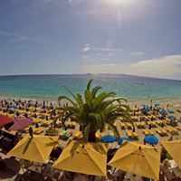 reder_brigi_del_rey_10